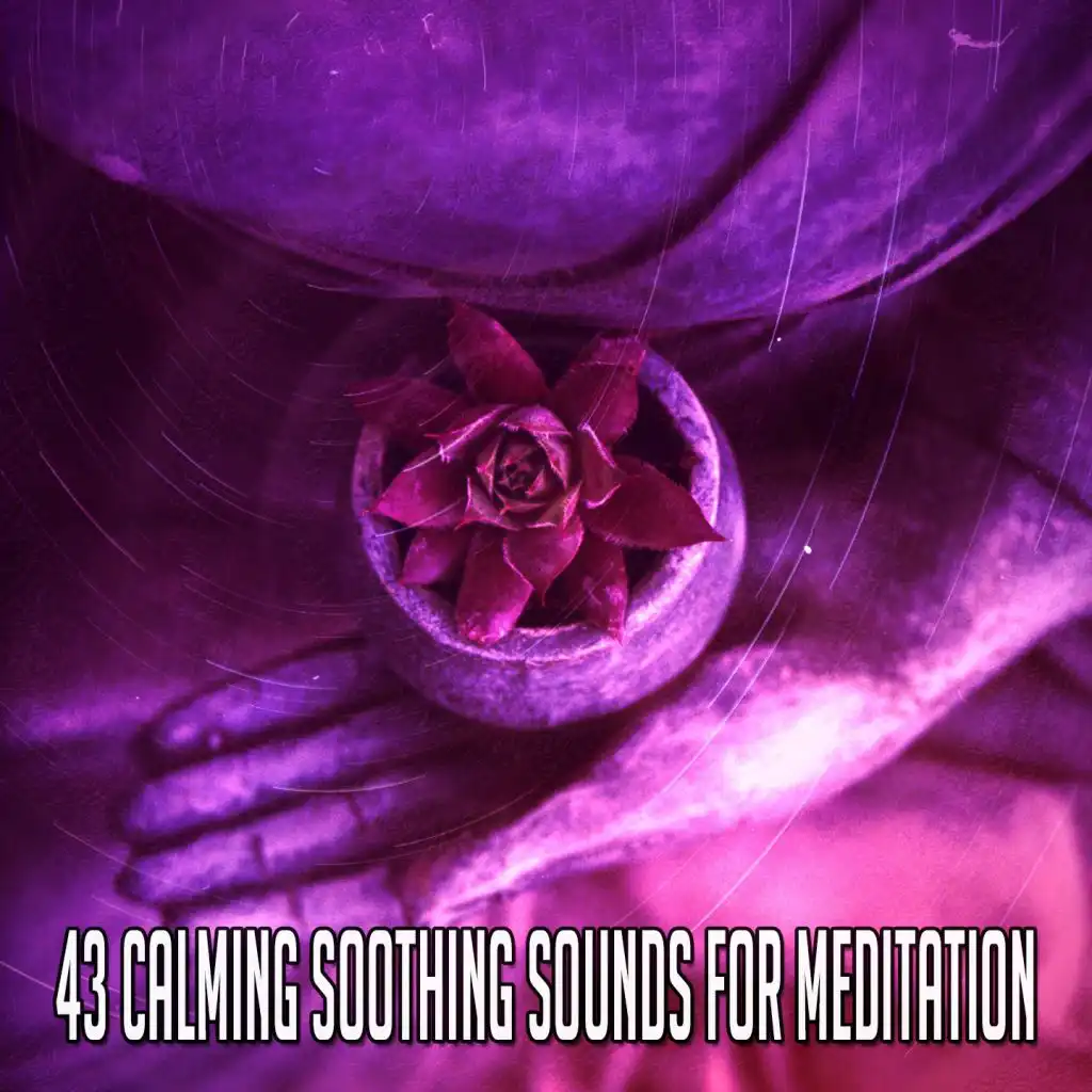 43 Calming Soothing Sounds for Meditation