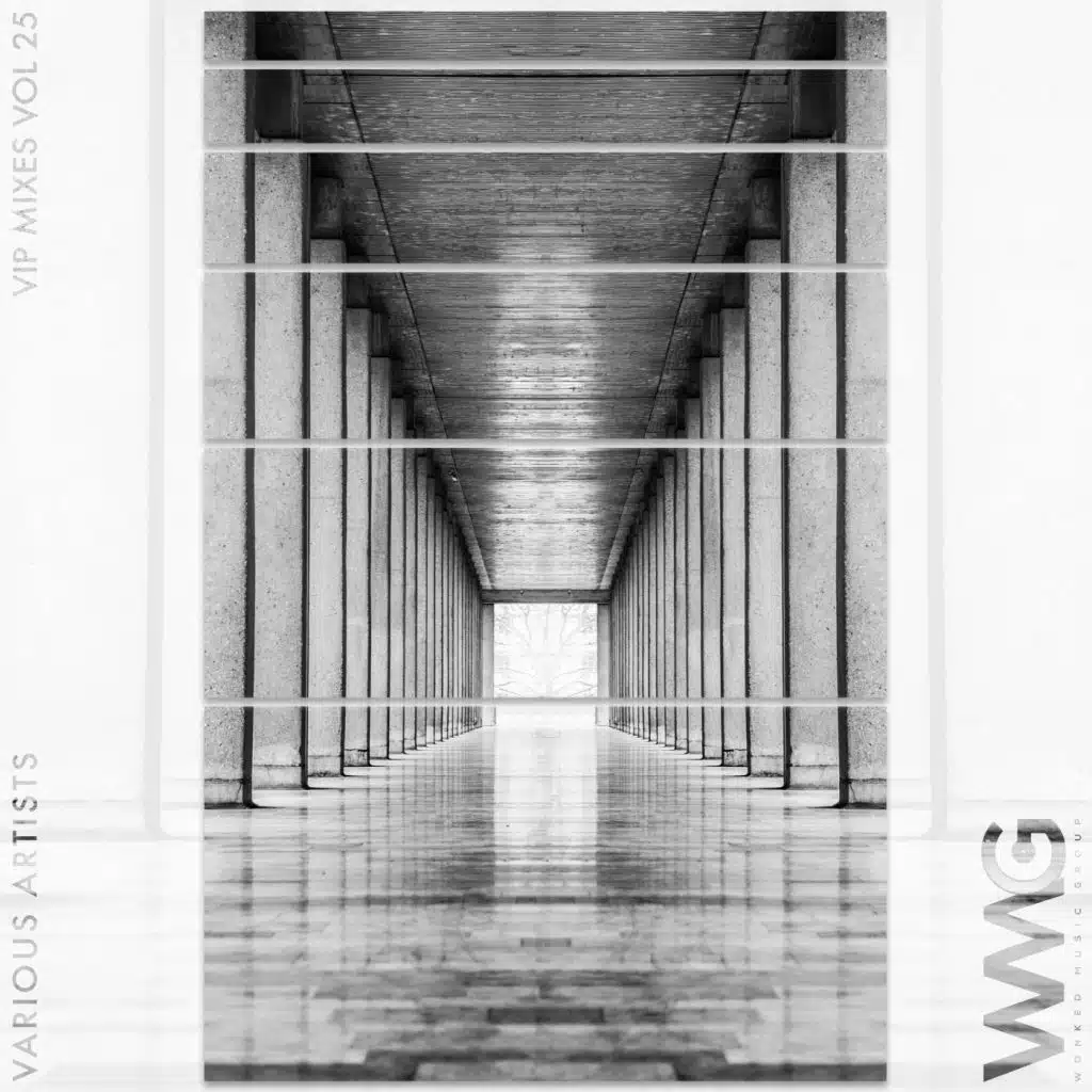 StereoThieves & Mr Eyez