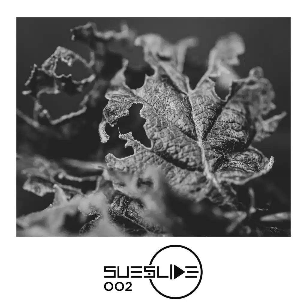 Stephan Zovsky & Dan Cero