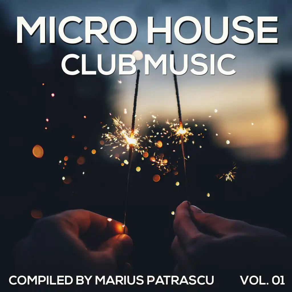 Micro House Club Music, Vol. 01