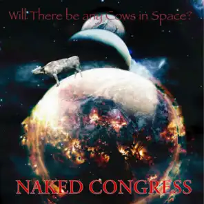 Naked Congress