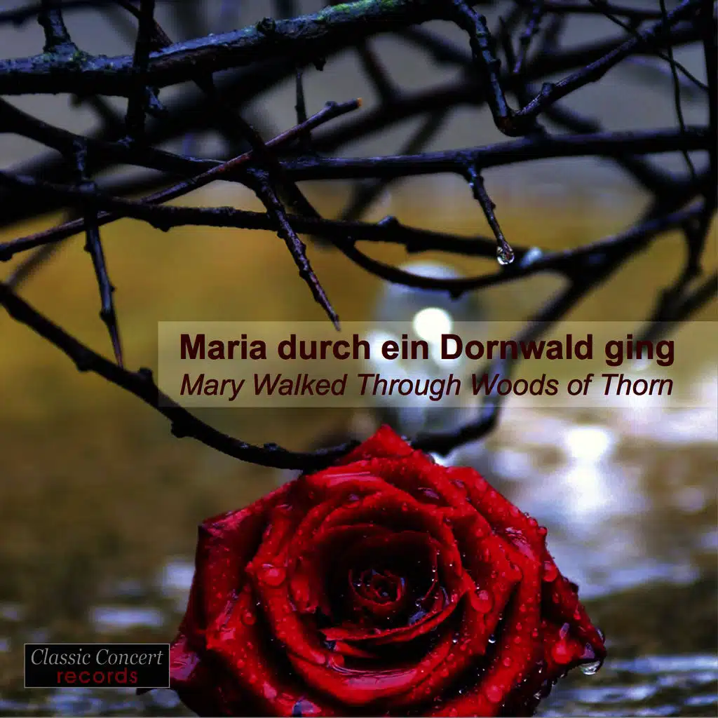 Alex Moling & André Schuen & Elisabeth Schuen & Familie Schuen & Trombonica & Gerald Klaunzer & Hilda Schuen & Marlene Schuen & Paul Schuen & Simon Seidel & Stefan Konzett