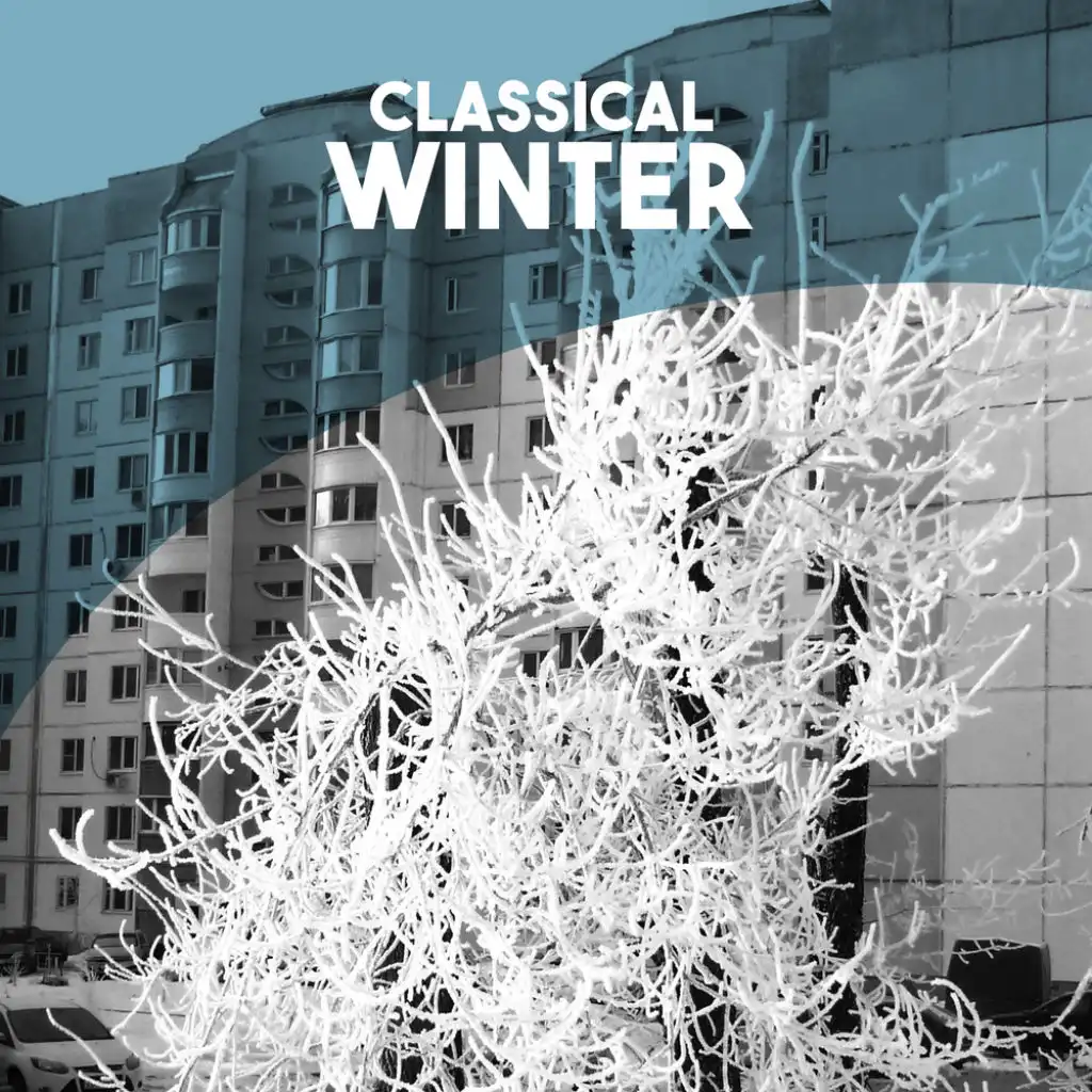 Violin Concerto No. 1 in E Minor, RV 267 "Winter": II. Largo