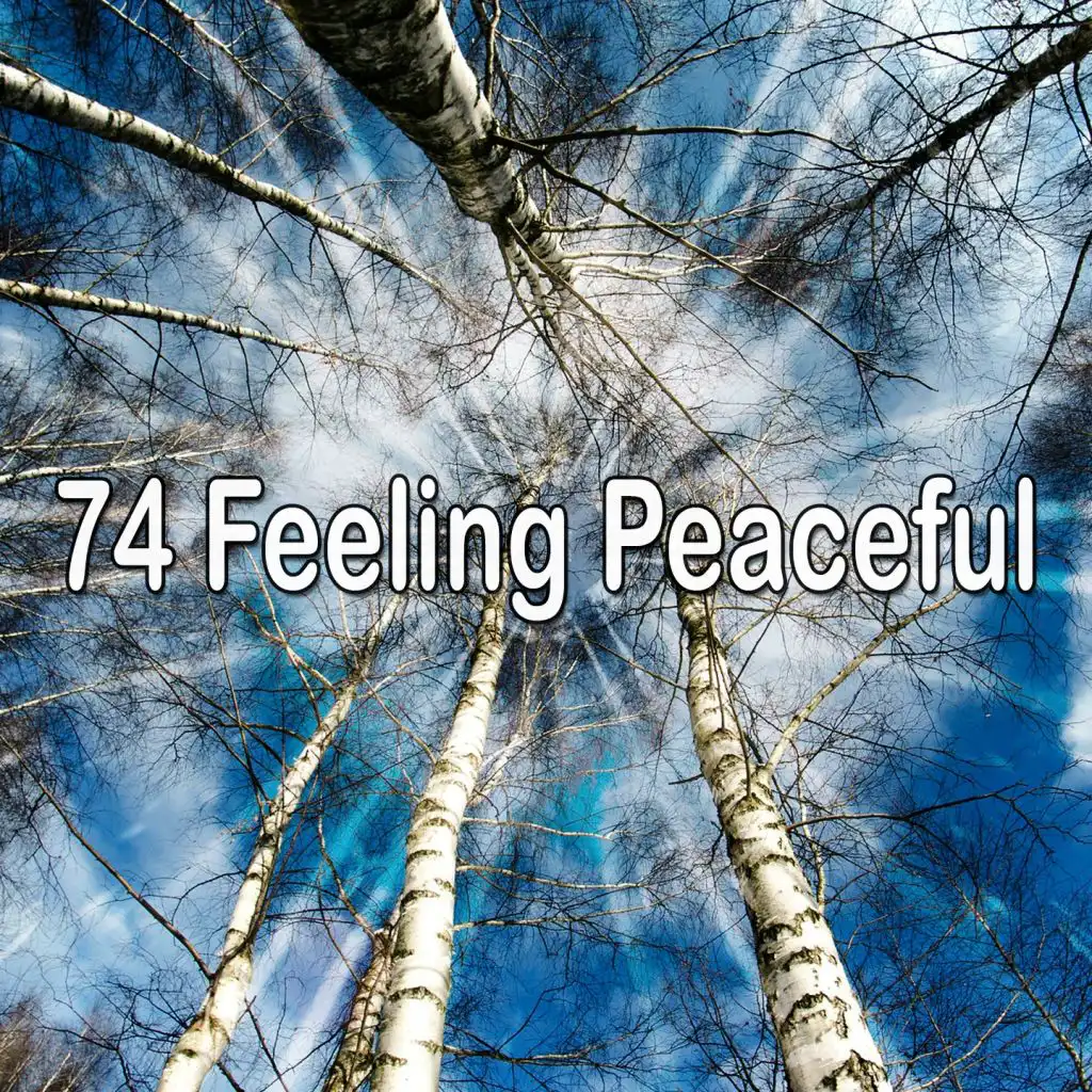 74 Feeling Peaceful