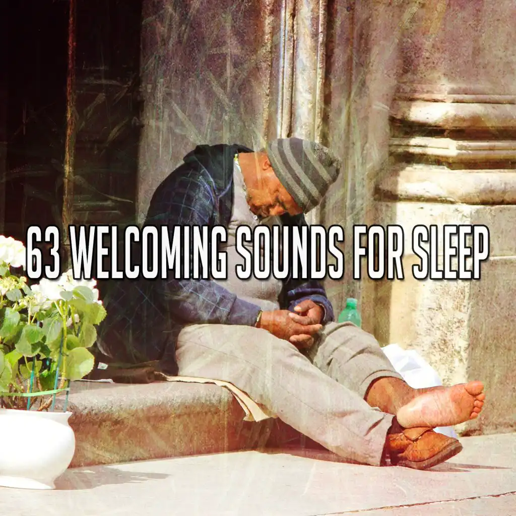 63 Welcoming Sounds for Sleep