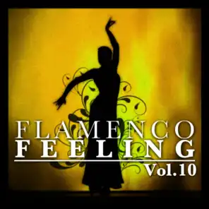 Flamenco Feeling Vol. 10
