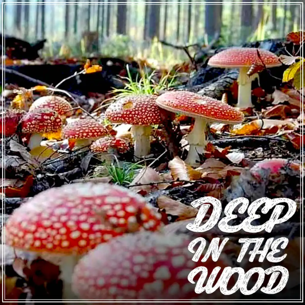 Deep in the Wood