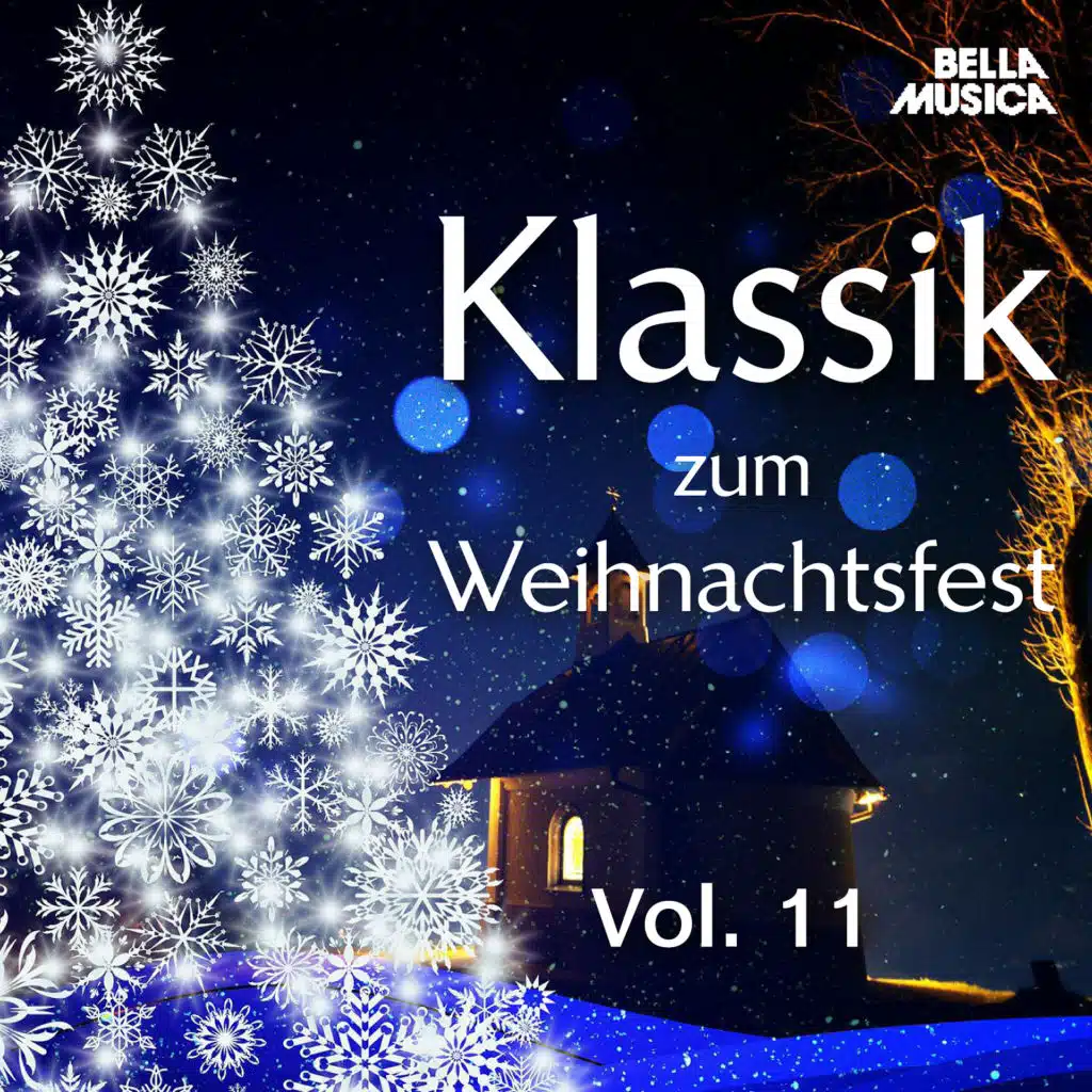 Klassik zum Weihnachtsfest, Vol. 11
