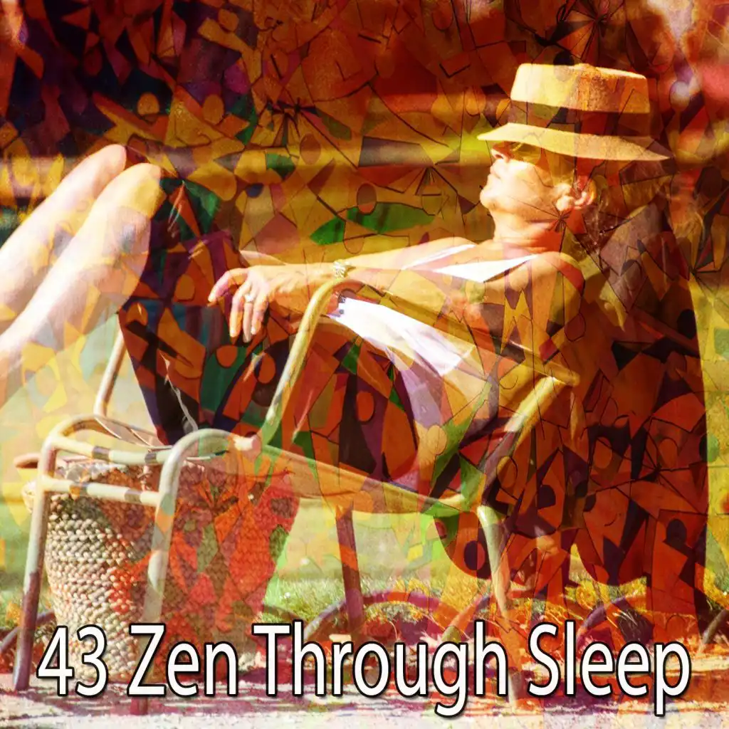 43 Zen Through Sleep