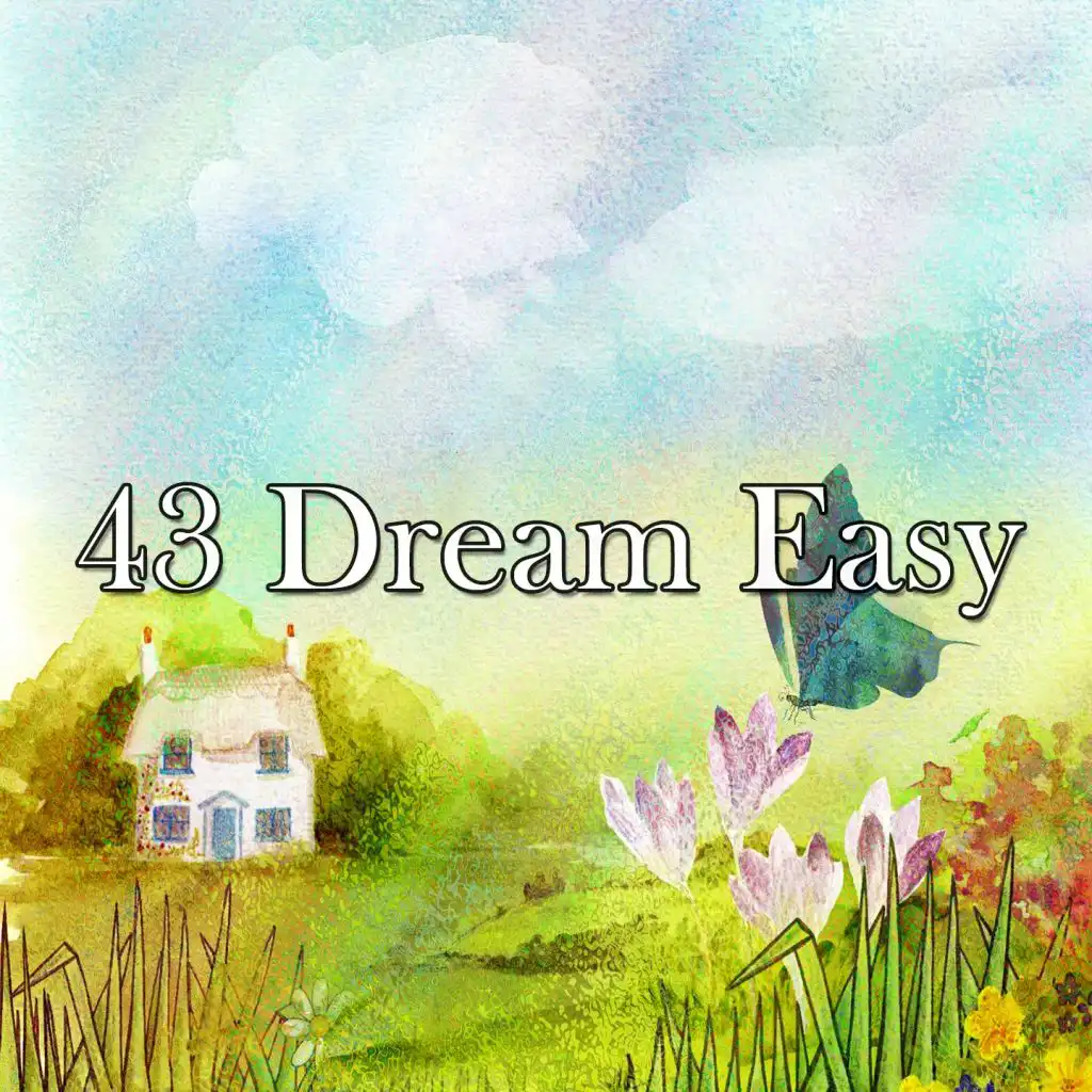 43 Dream Easy