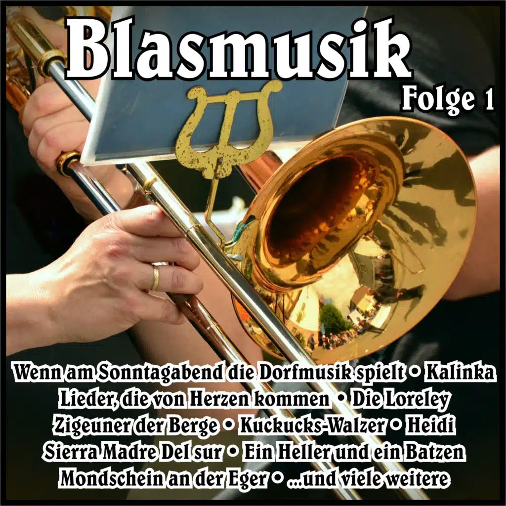 Hans Pfeifer & die Pfälzer Musikanten