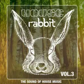House Rabbit Vol. 3 (The Sound of House Music)