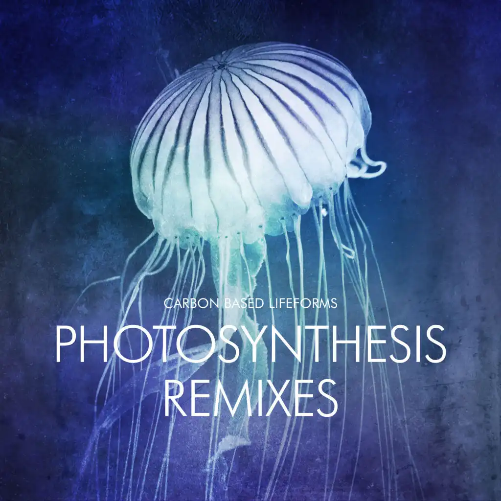 Photosynthesis (Robert Elster Remix)