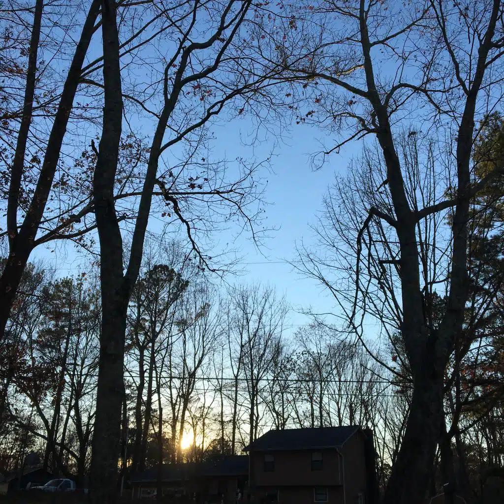 American Bussy Diaries