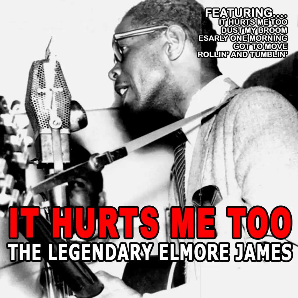 It Hurts Me Too - The Legendary Elmore James