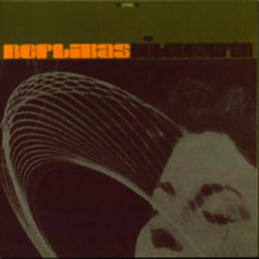 Hiç Ölü Zenci Yok