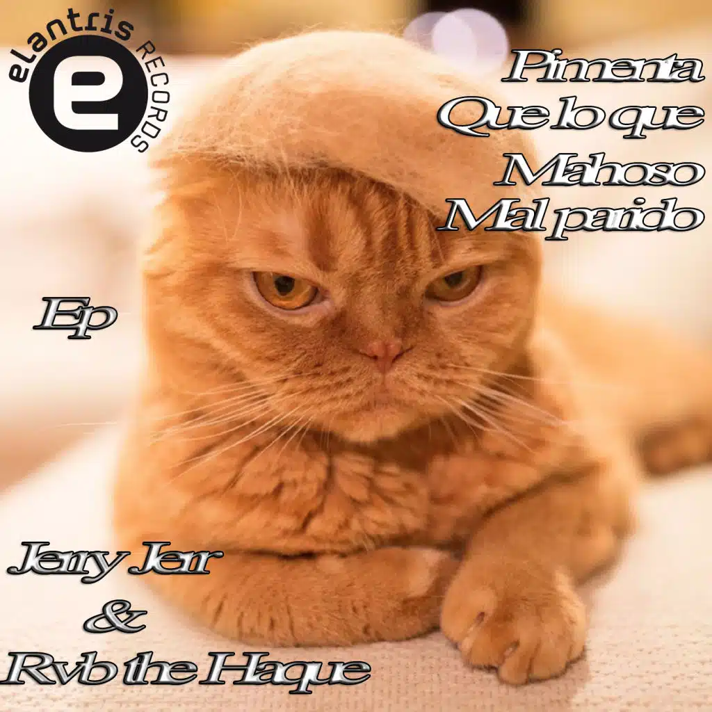 Jerry-Jerr & RVBTheHague