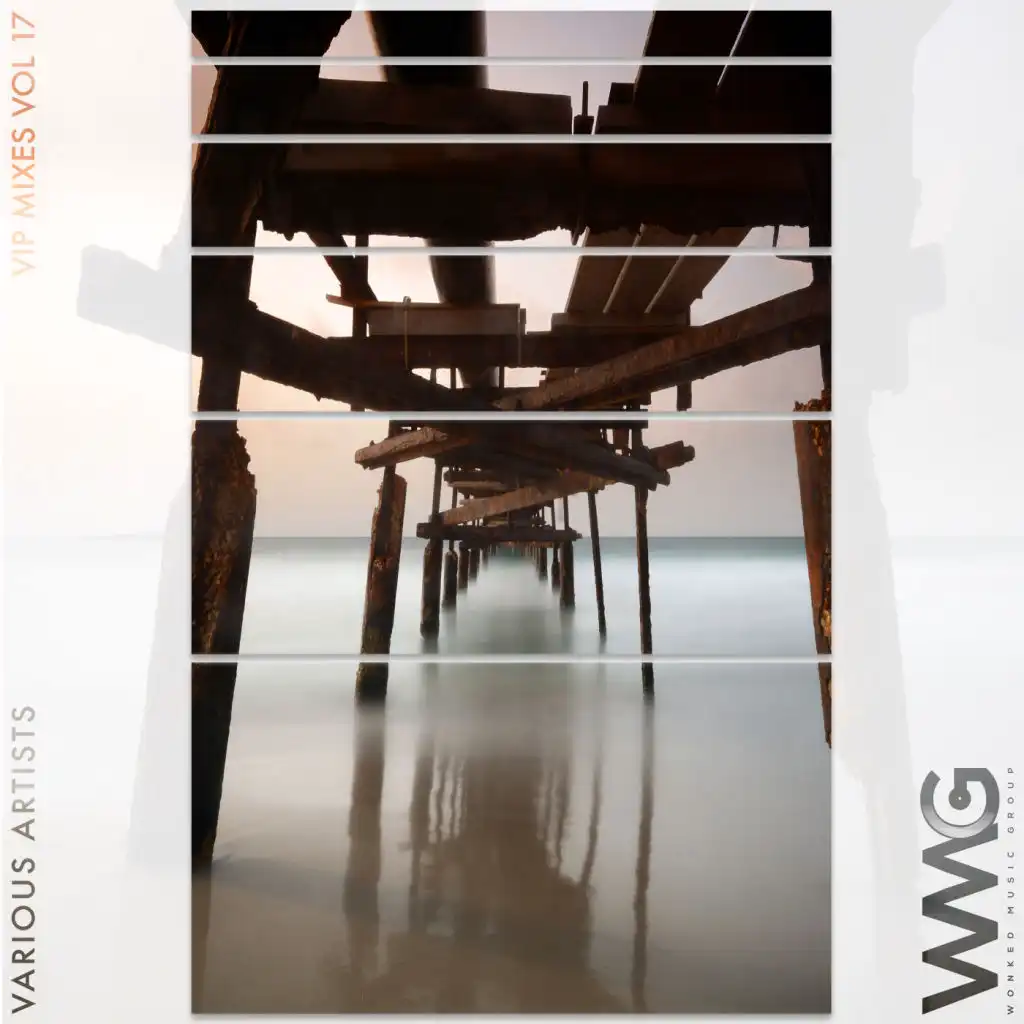 VIP Mixes, Vol. 17
