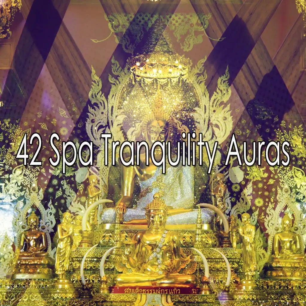 42 Spa Tranquility Auras