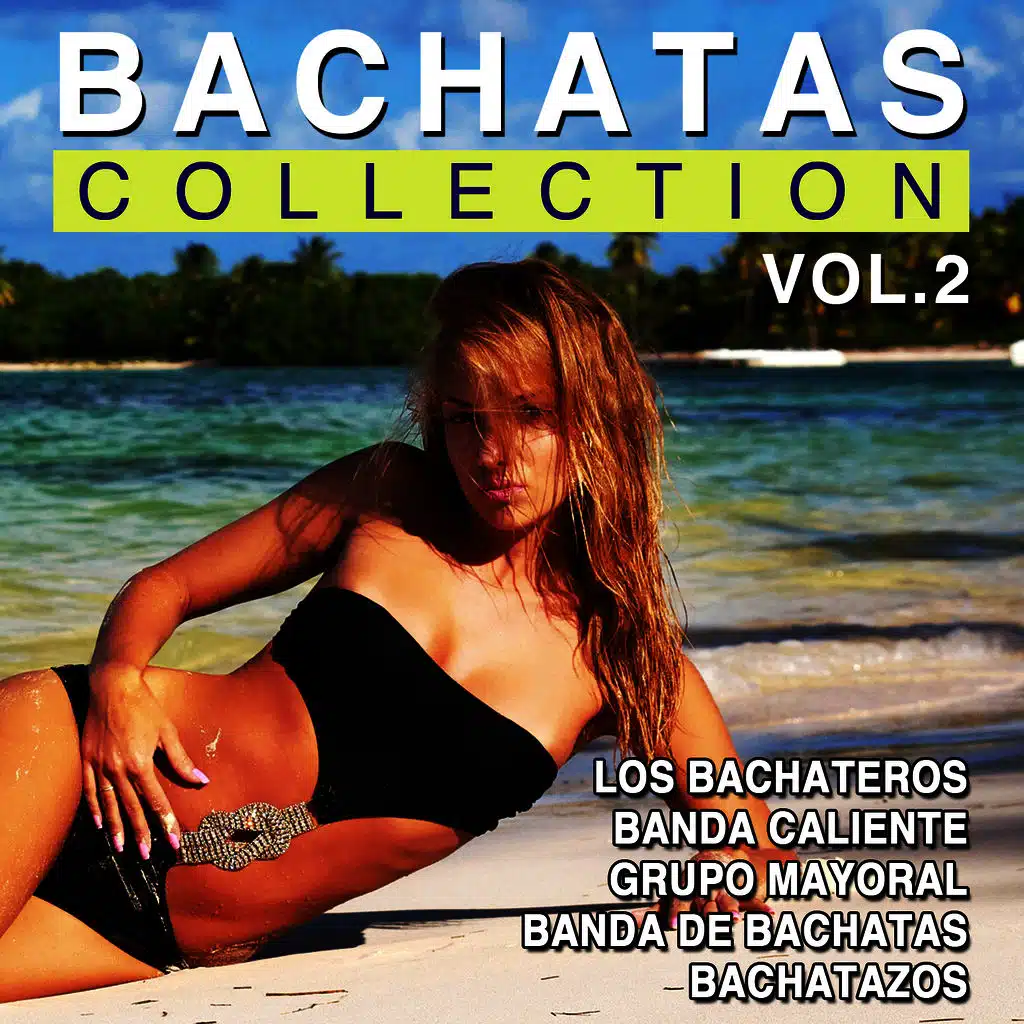 Bachatas Collection Vol. 2