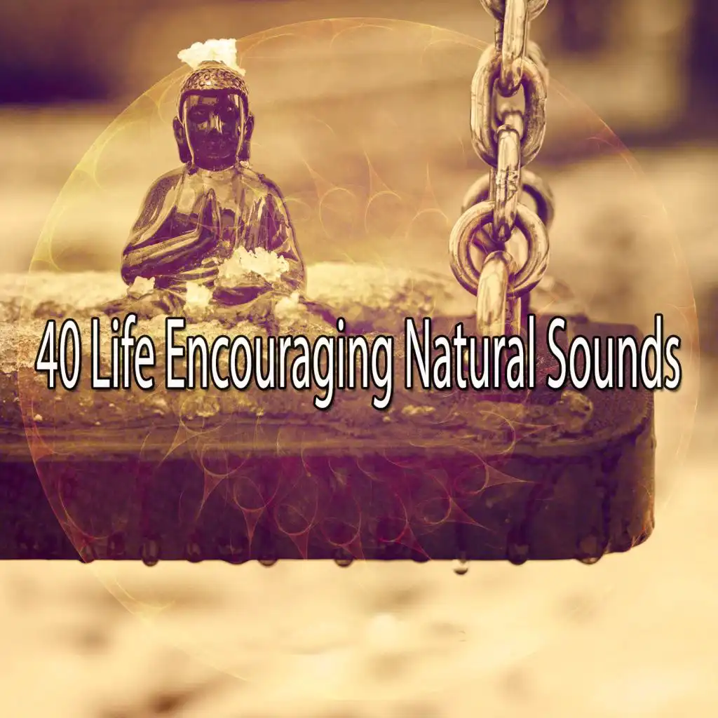 40 Life Encouraging Natural Sounds