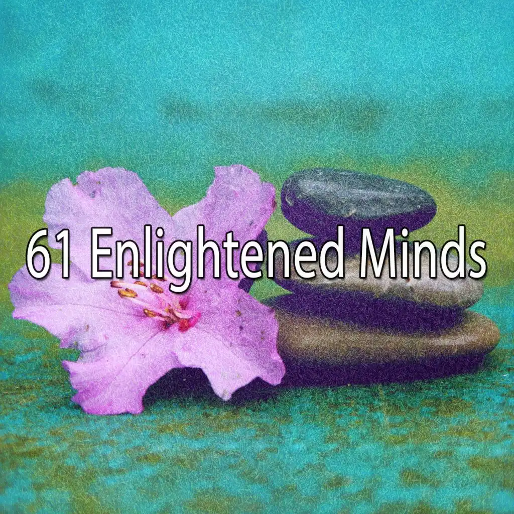 61 Enlightened Minds