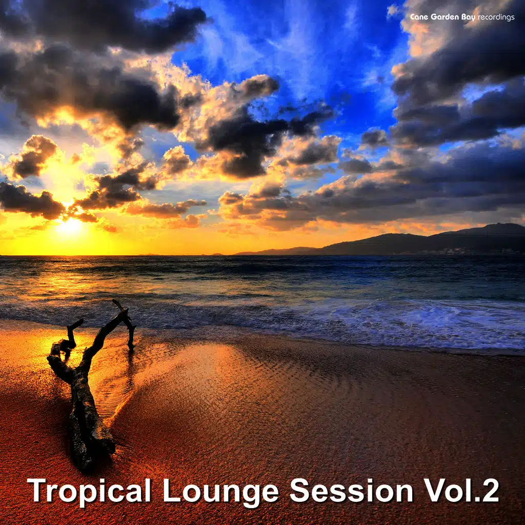 Tropical Lounge Session, Vol. 2 