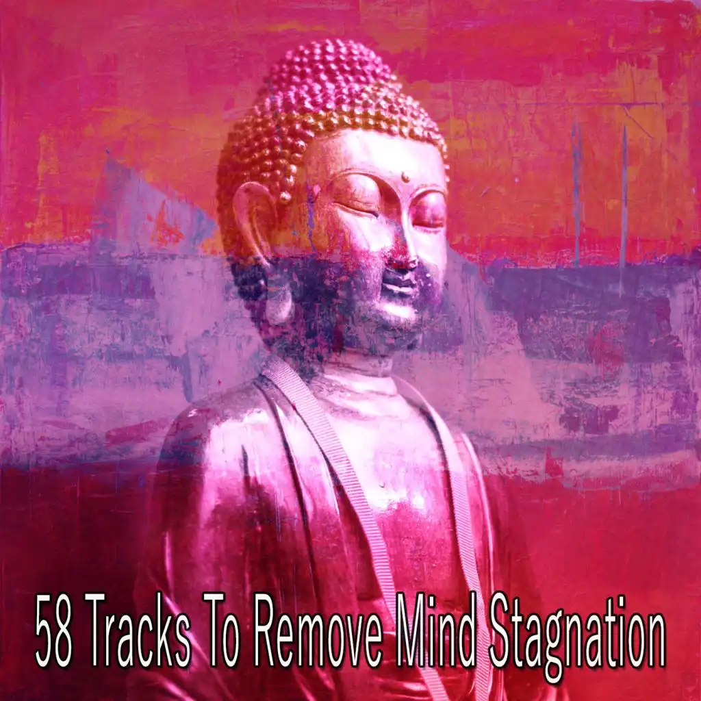 58 Tracks to Remove Mind Stagnation