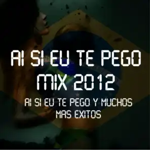 Ai Si Eu Te Pego Mix 2012
