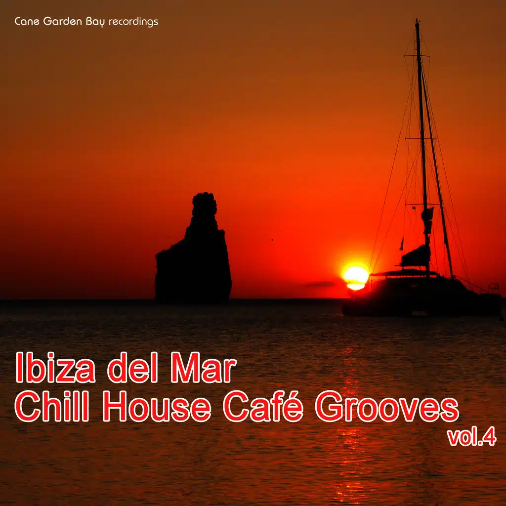 Ibiza del Mar - Cafe' Chill House Party, Vol. 4
