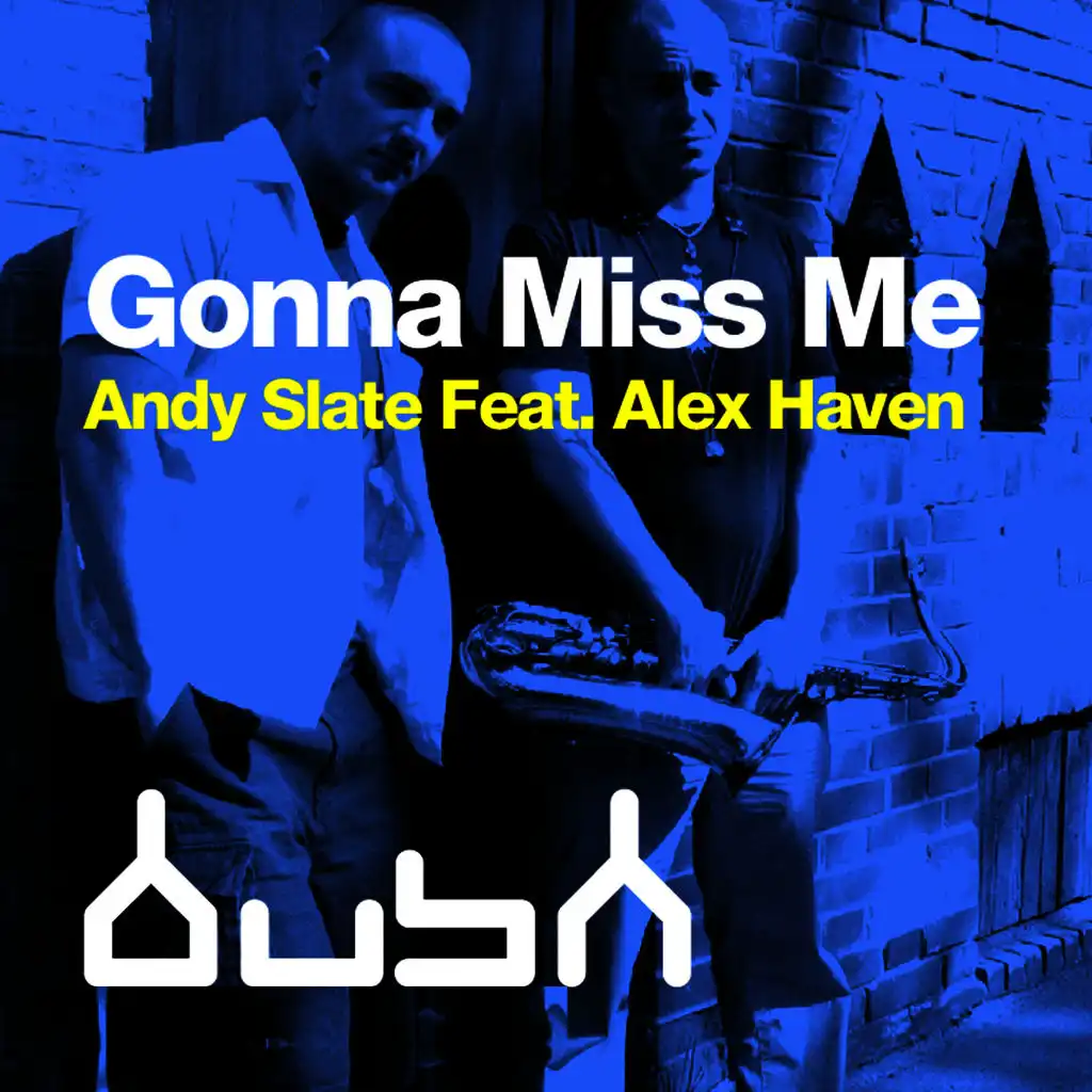 Andy Slate Feat. Alex Haven