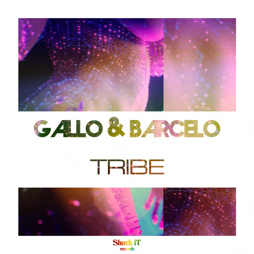Gallo & Barcelo