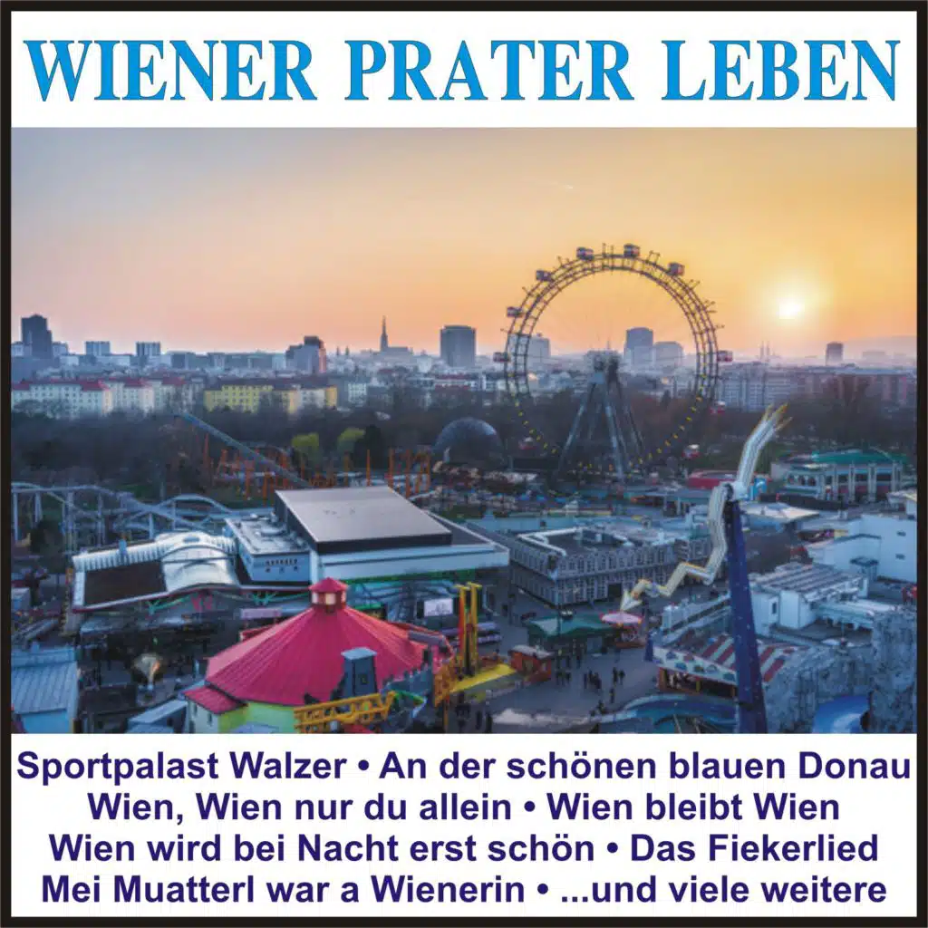 Wien wird bei Nacht erst schön