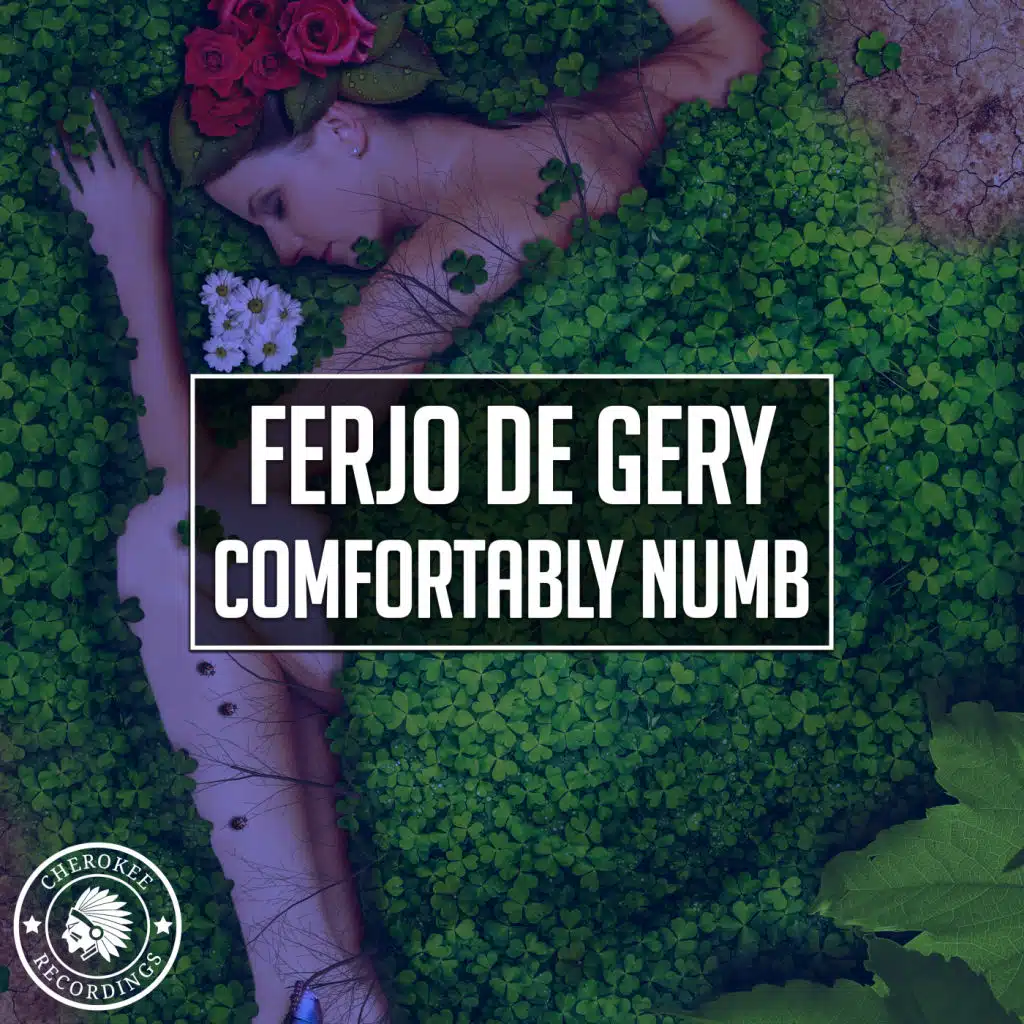 Ferjo de Gery
