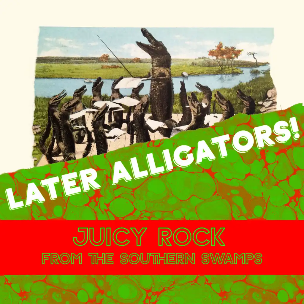 Later Alligator