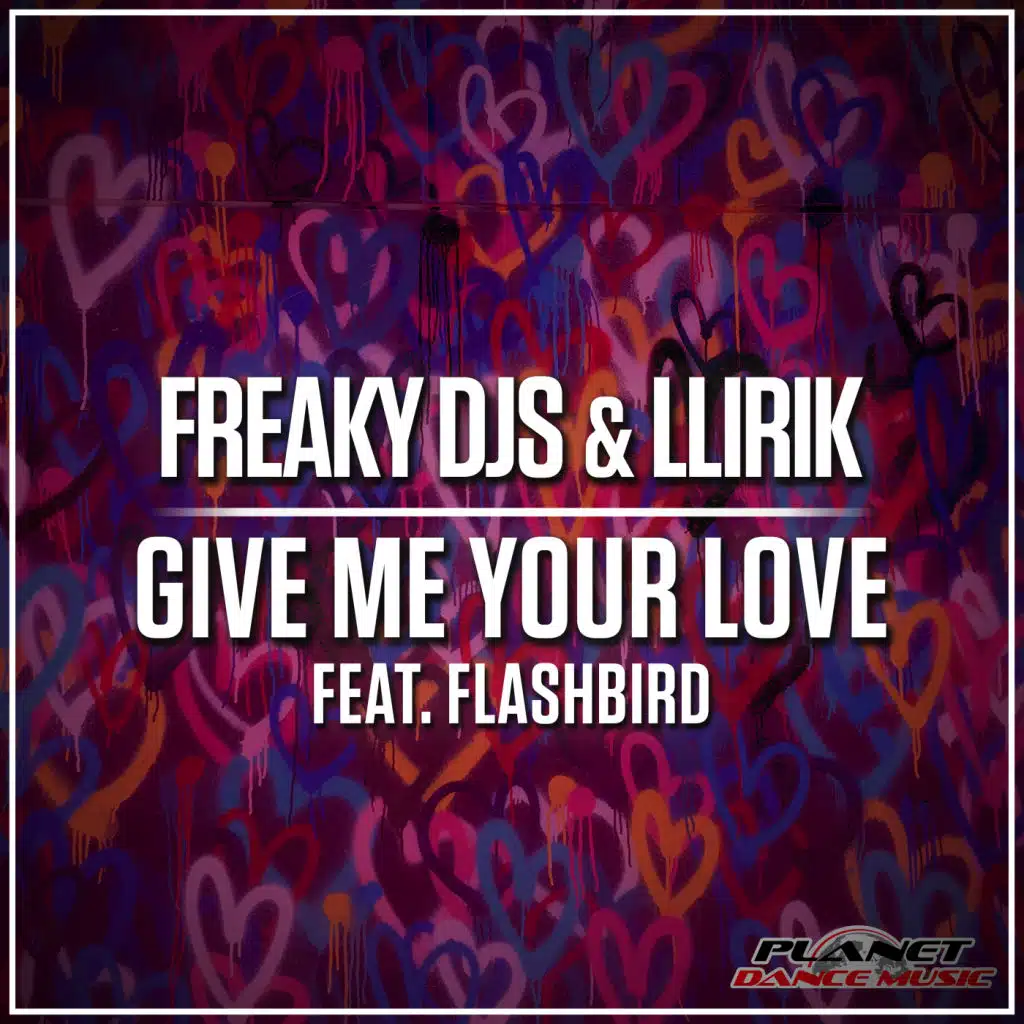 Give Me Your Love (Radio Edit) [feat. Flashbird]