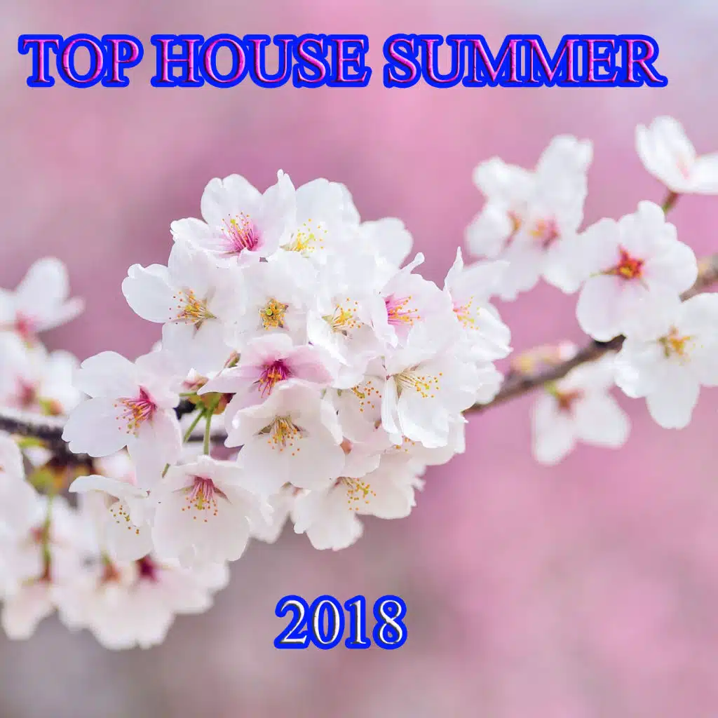 Top House Summer 2018