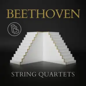 String Quartet No. 1 in F Major, Op. 18 No. 1: II. Adagio affettuoso ed appassionato