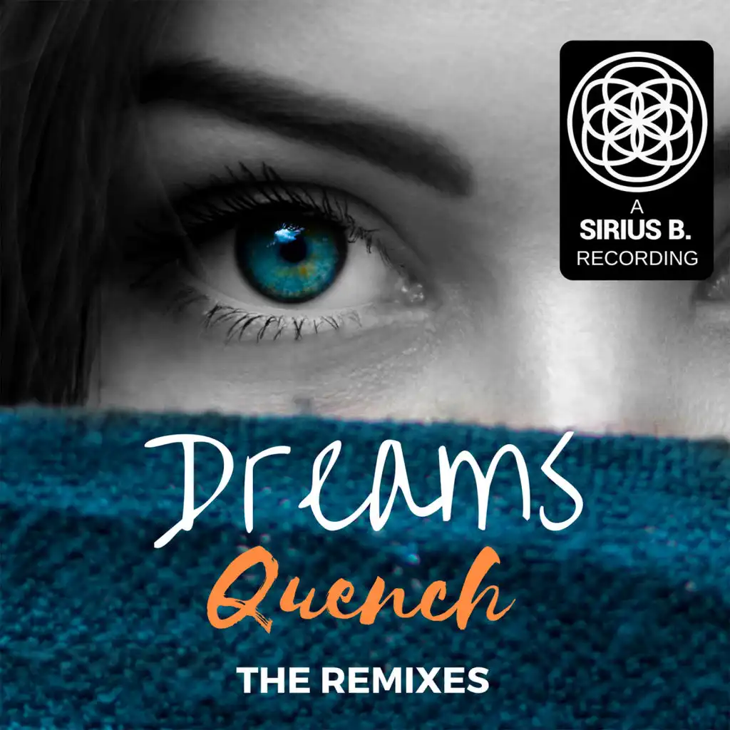 Dreams (Moda Finale Remix)