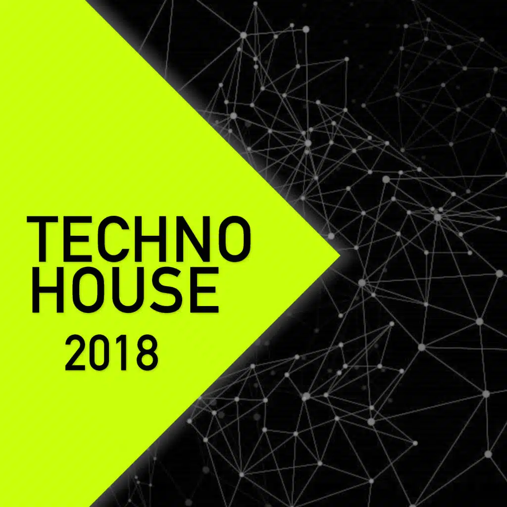 Techno House 2018