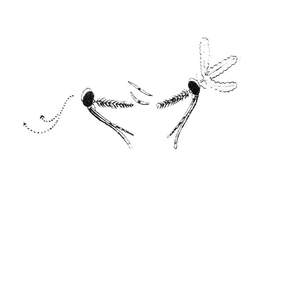 Heaven Taste (Jimi Tenor Remix)