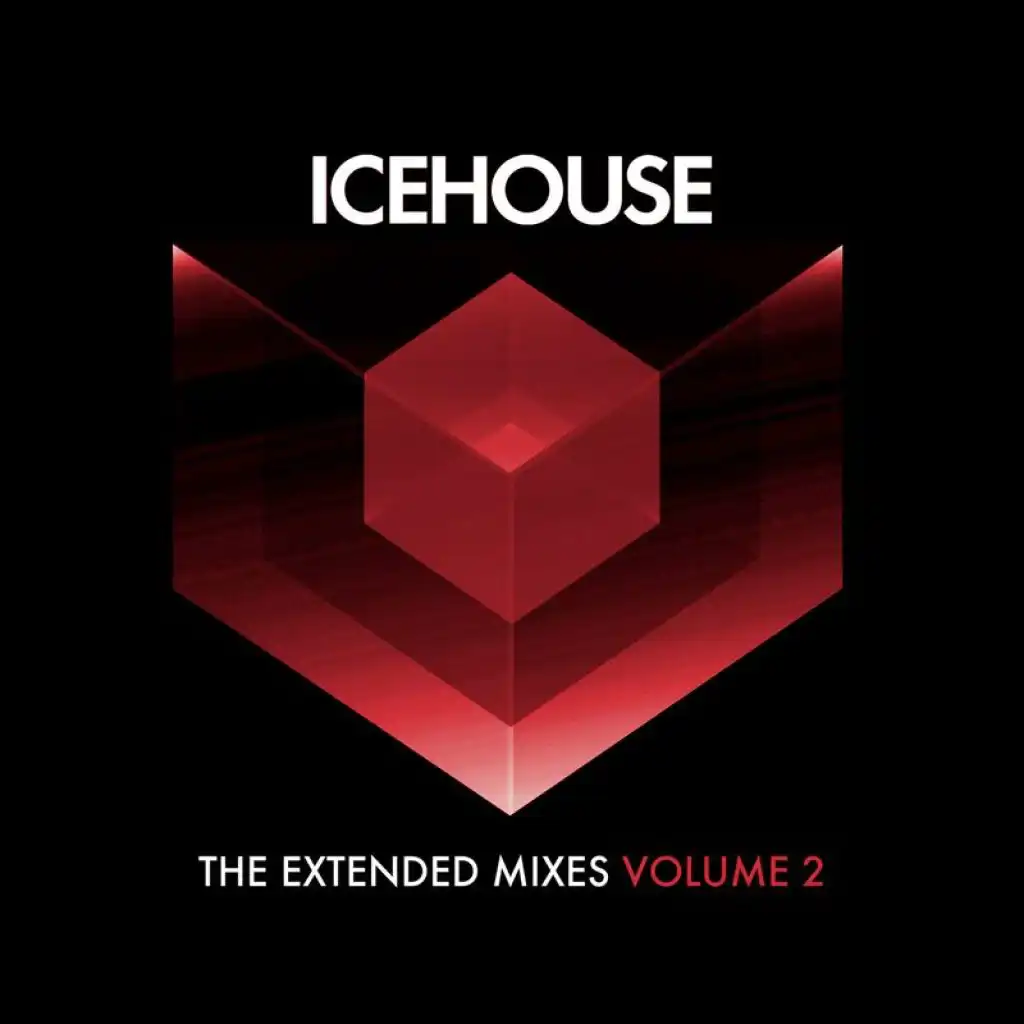 The Extended Mixes Vol. 2