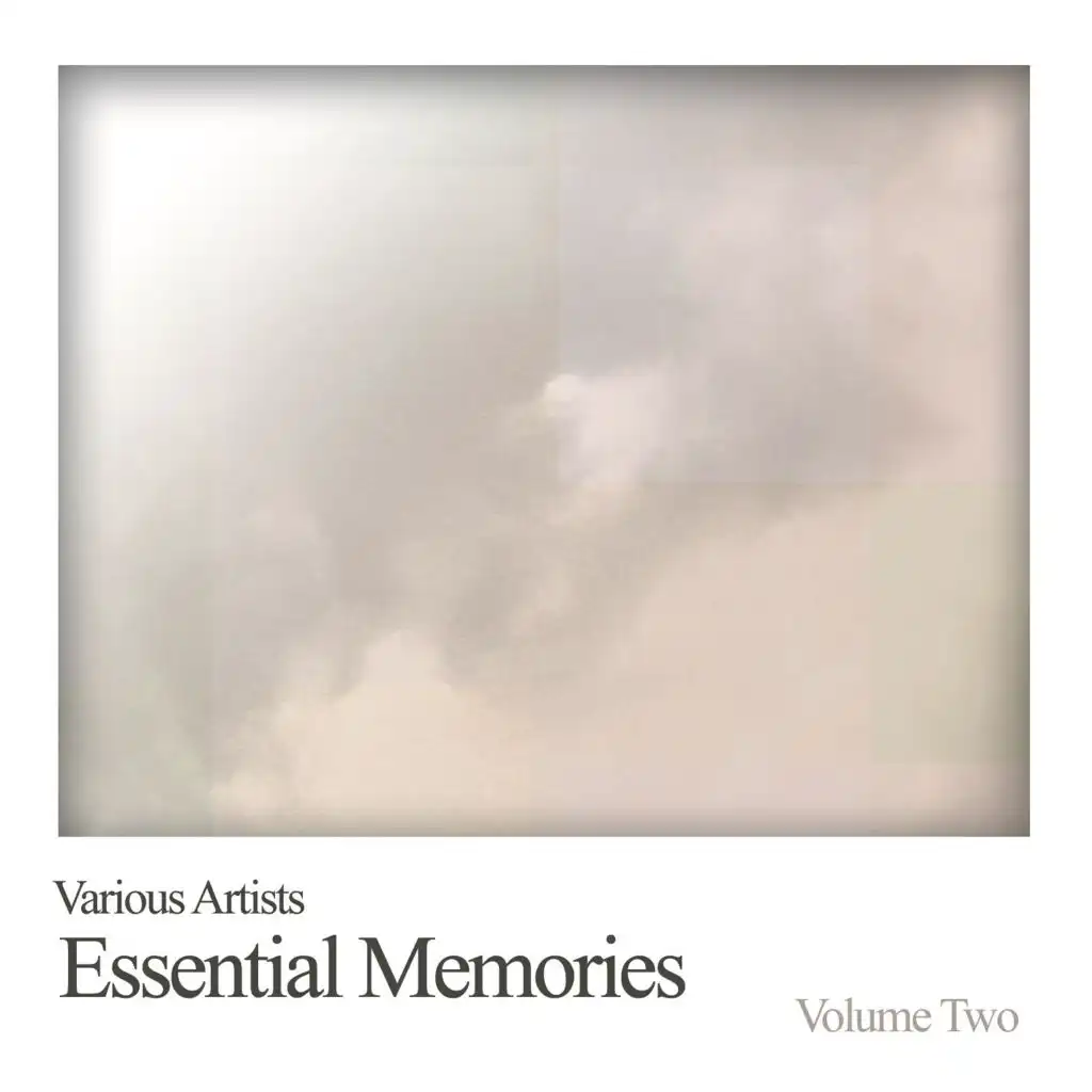 Essential Memories, Vol. 2