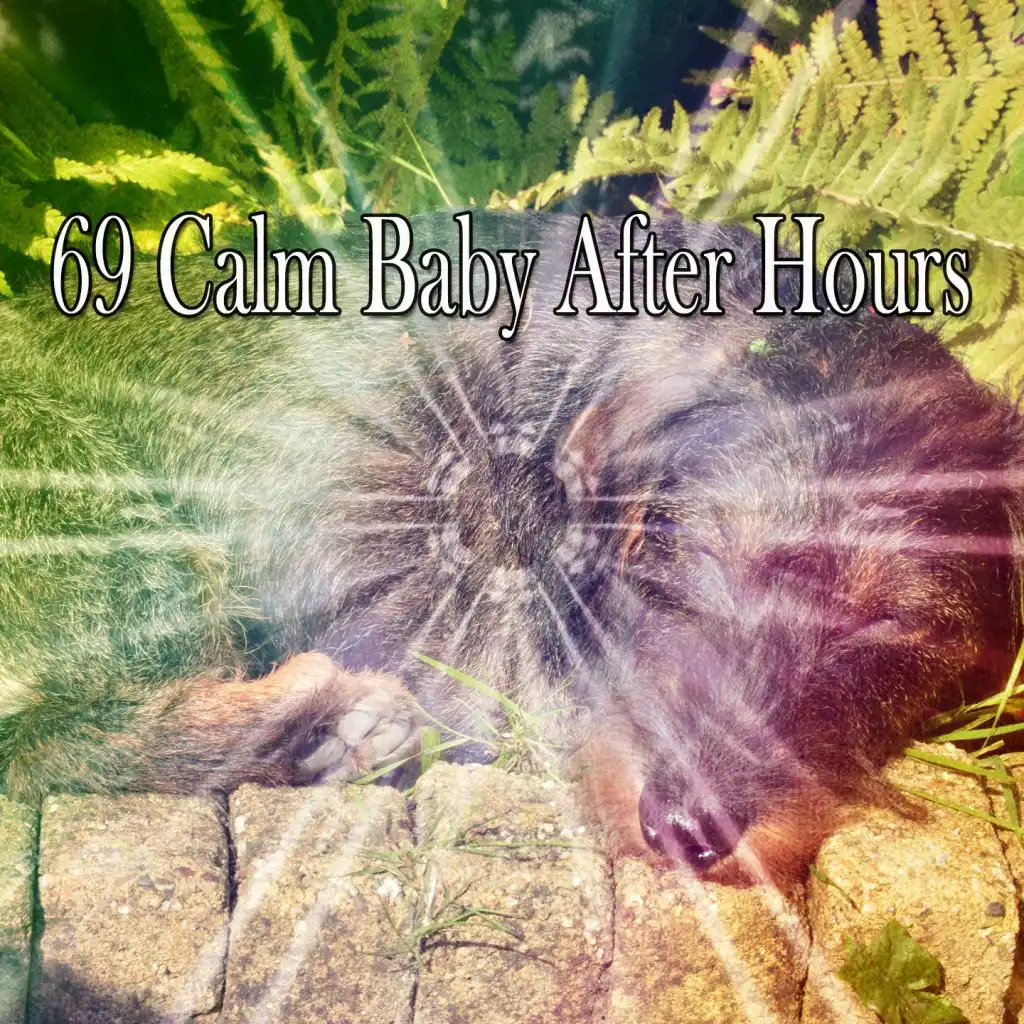 69 Calm Baby After Hours