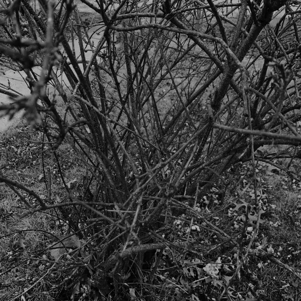 The Lady of Lake Michigan (Demo) (Demo)