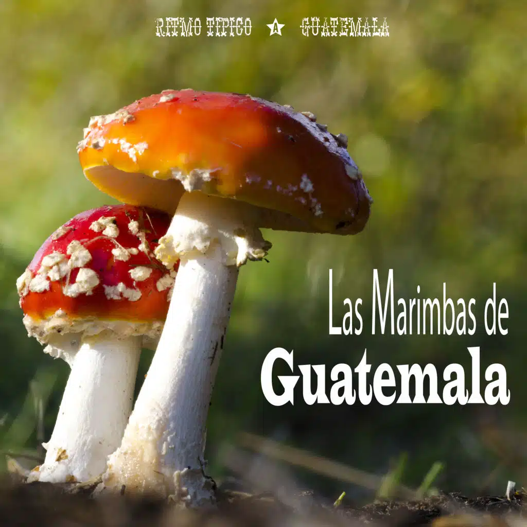 Compadre Morito (Guaracha-Mambo)