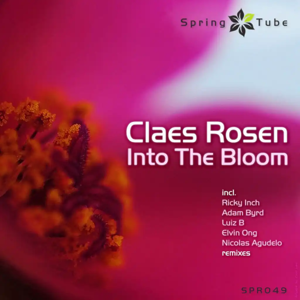 Into the Bloom (Nicolas Agudelo Remix)