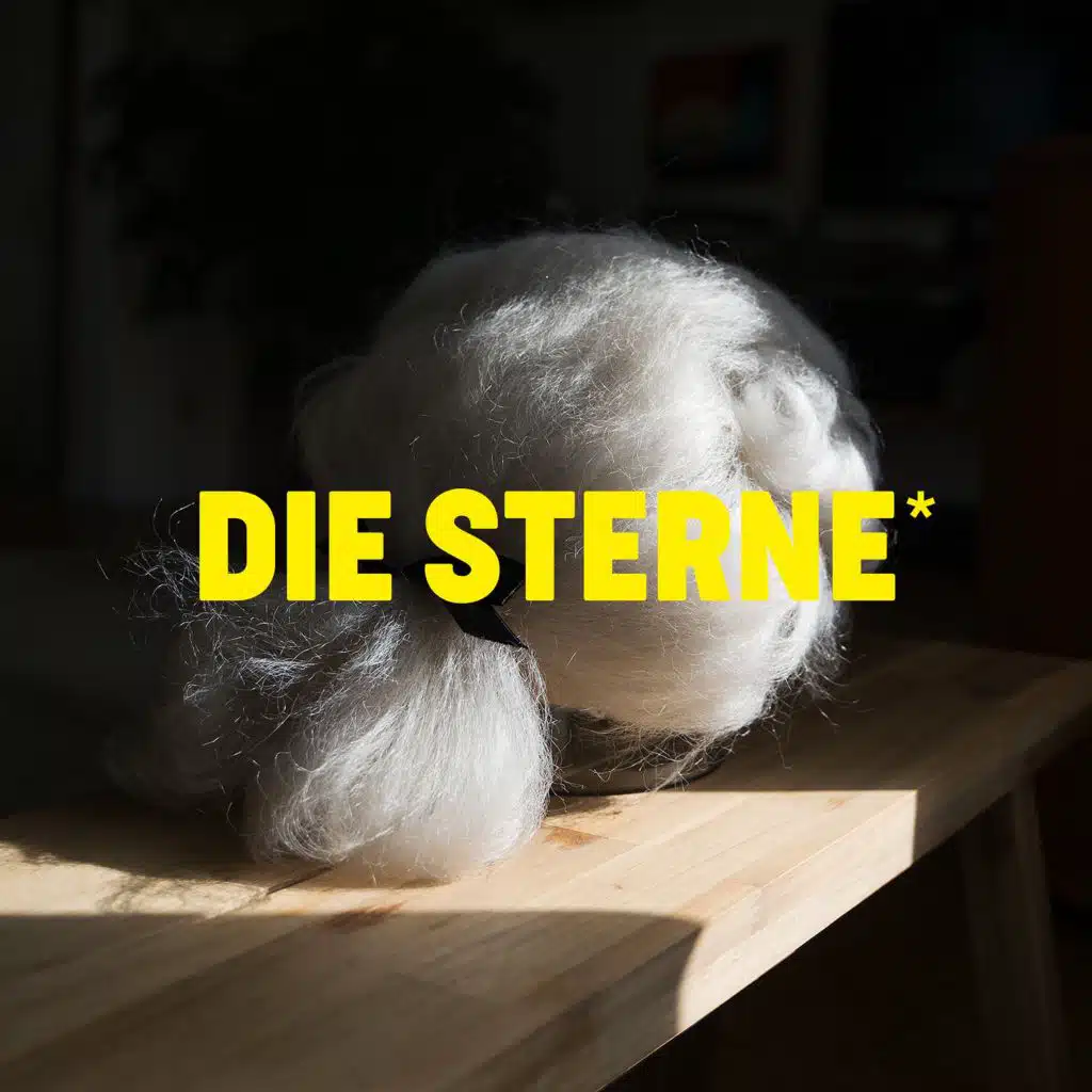 Der Palast ist leer (feat. Kaiser Quartett)