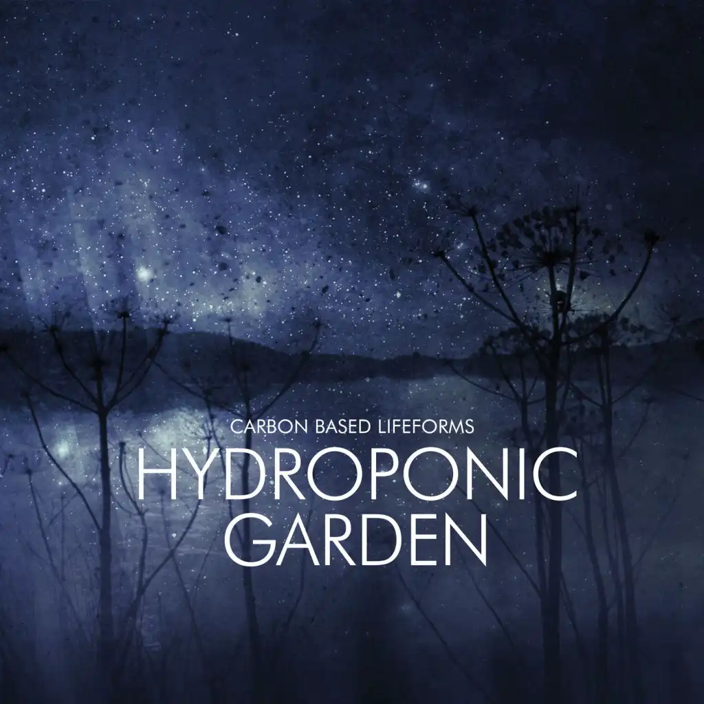 Hydroponic Garden (feat. Yoji Ishida)