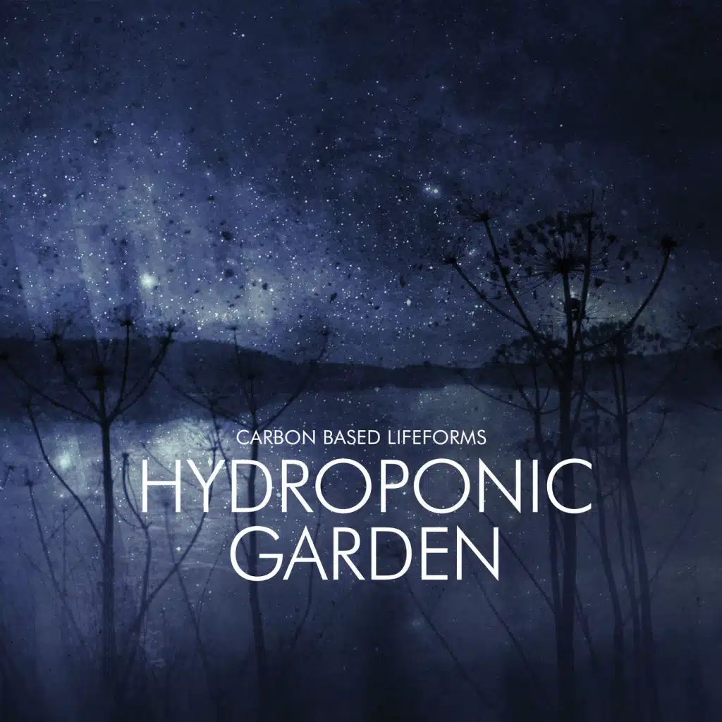 Hydroponic Garden
